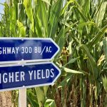 AgGronomyTV: Hitting 300 bushels per acre of corn