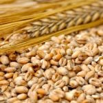 Photo: Thinkstock
