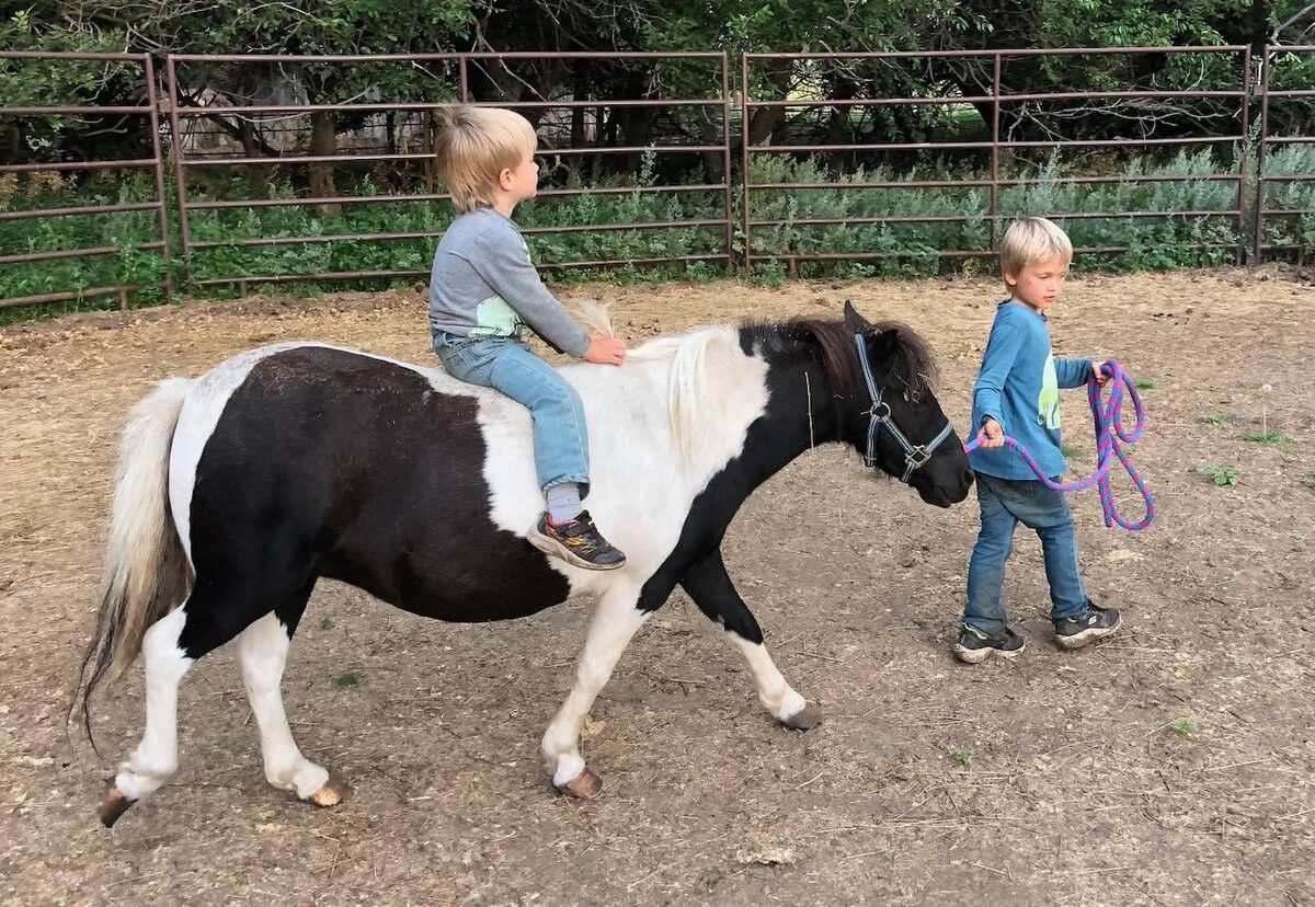 James leads Ian around the round pen to show Grandma Allen and Uncle Mike their skills. Photo: Heather Eppich