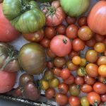 Great recipes rely on timely fall resource management