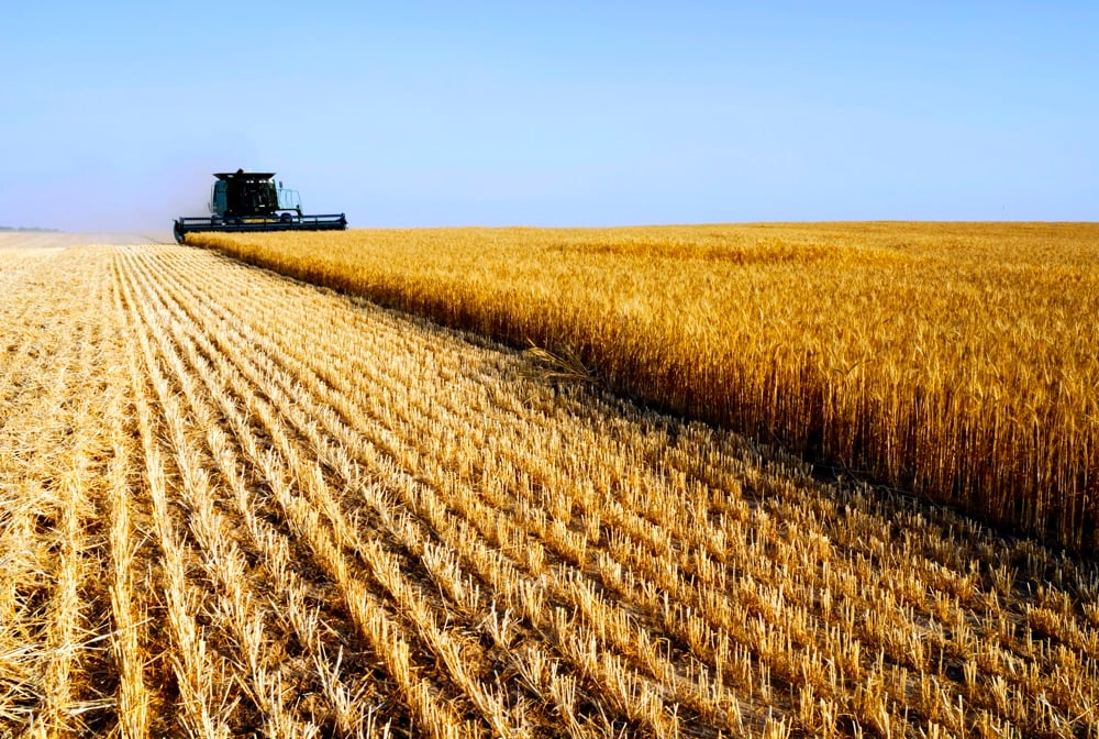 Photo: iStock