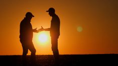 Firm handshake between two farmers in silhouette at sunset. Pic: StockSeller_ukr/iStock/Getty Images