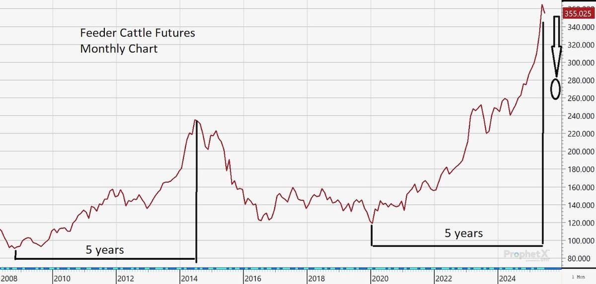 Monthly chart showing feeder cattle prices from 2008 to 2025. Courtesy DTN ProphetX.