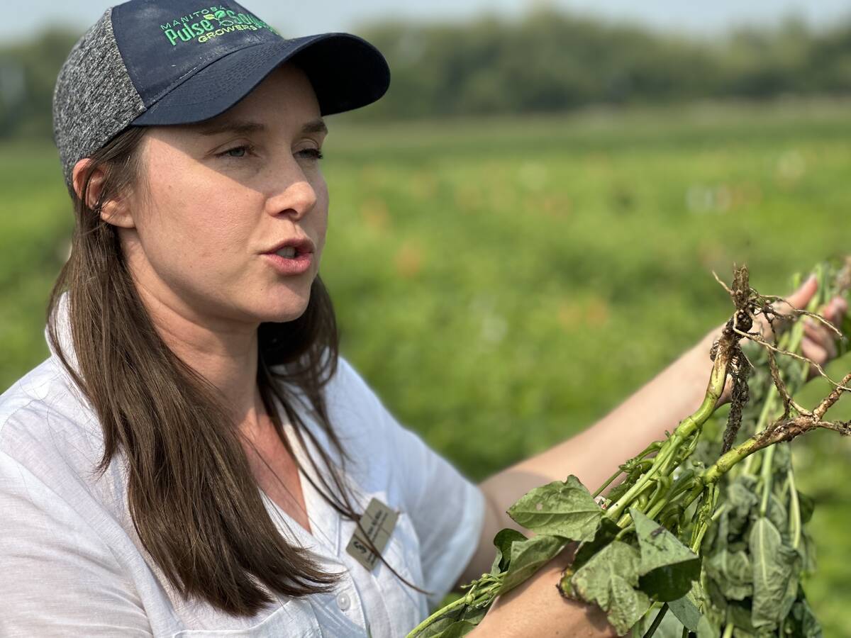 University of Manitoba research agronomist Kristen MacMillan discusses nodulation and nitrogen fixation in dry beans in front of her research plots in Carman, Man., in late July 2025. Photo: Don Norman