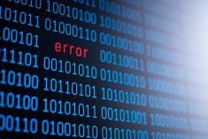 Detection of dangerous worms, bugs and viruses in computer programs