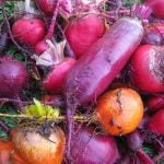 Putting down roots, part 1: Beets
