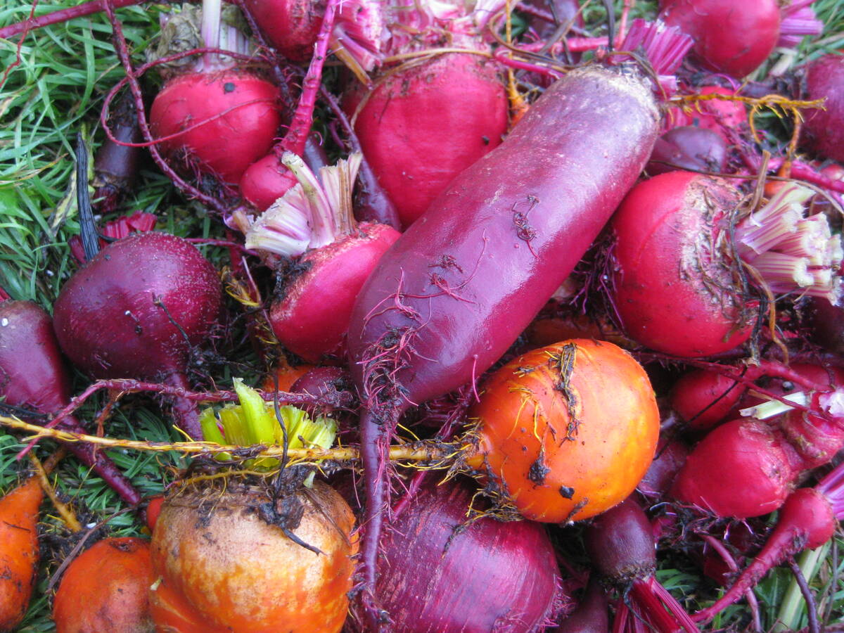 beets, in various colours