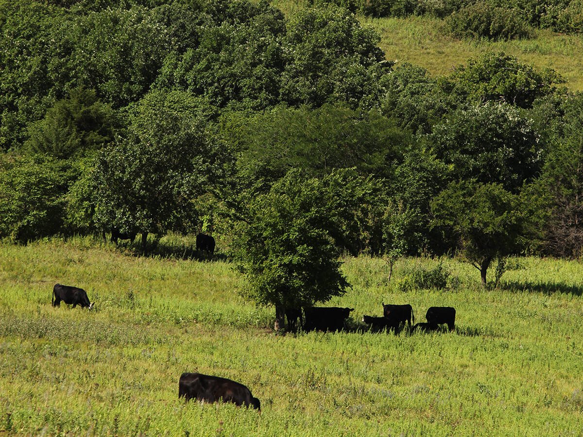 Many farms have been passed down for generations and they will continue to provide a living for future livestock producers and growers, says the author.  |  File photo. (date last used July 4, 2013)
WAMEGO, Kansas  - Joe Capenter and Barb Downey run the Downey Ranch, 6,500 acres in the Flinthills of east-central Kansas. The couple have about 600 cows, 150 are registered Angus. The farm was started in 1986 and was assembled from 13 other landowners and is spread over two counties. The range can be rough in places, with the family's British Ranch covering 3,000 acres of virgin tall-grass prairie with variation in topography that spans several hundred feet. Michael Raine photos