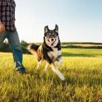 What’s the best form of exercise?