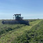 How a southern Alberta farm maintains mint condition