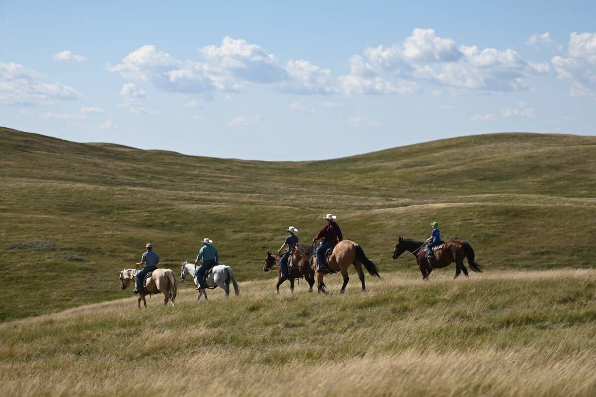 A family rides horses through a rangeland. Photo: Tara Mulhern Davidson