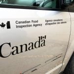 File photo of a CFIA vehicle. Photo: File
