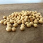 U.S. grains: soybeans firm ahead of USDA data