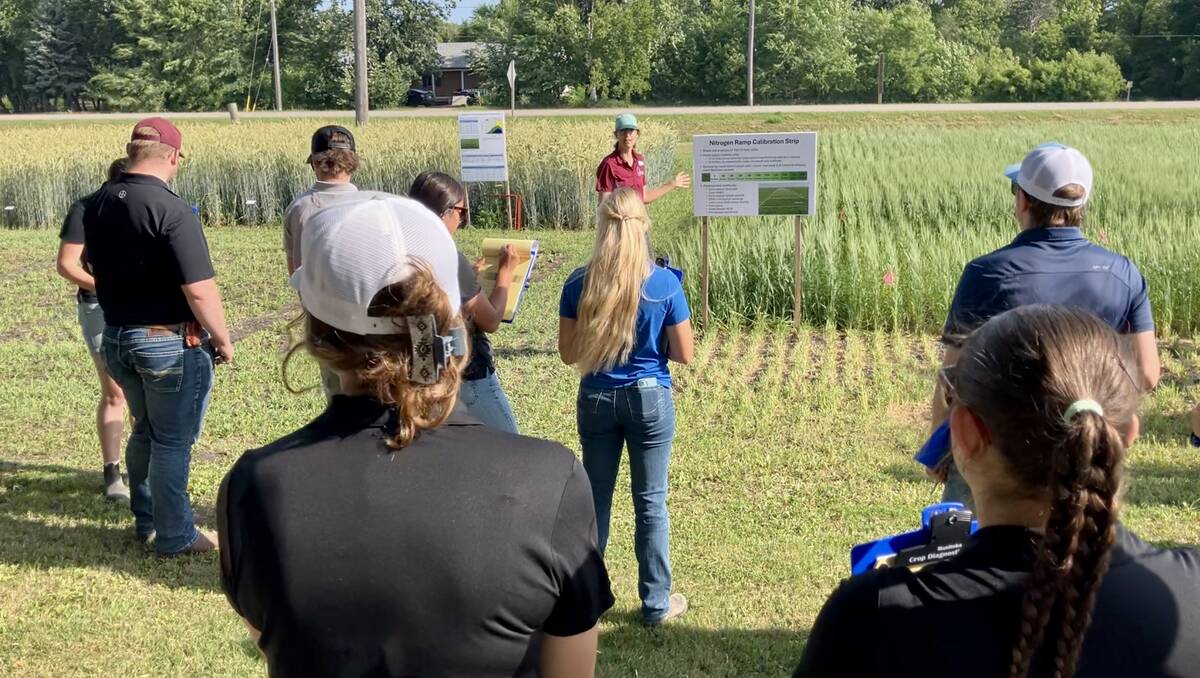 Anne Kirk (centre, back of image), cereal crop specialist with Manitoba Agriculture, leads a session on nitrogen in winter cereals at Crop Diagnostic School in Carman, Man., in July. Photo: Greg Berg