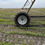 Galileo Wheel rebrands tires as Trackwheel