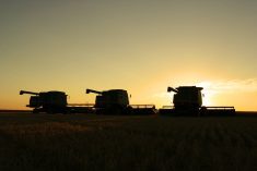 Three combines silhouetted against setting sun in Saskatchewan field. This agricultural picture was taken near Milden, Saskatchewan. The combine augers protrude from the machines, while the sun shines through the headers. The sky is clear, with a few wispy clouds to the right.
