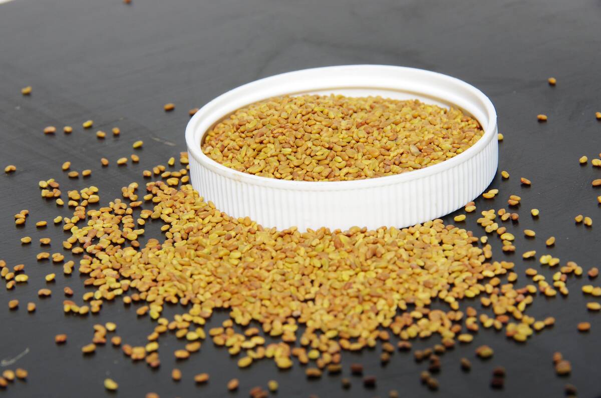 Seed and genetics are among the factors impacting a producer’s forage stand.