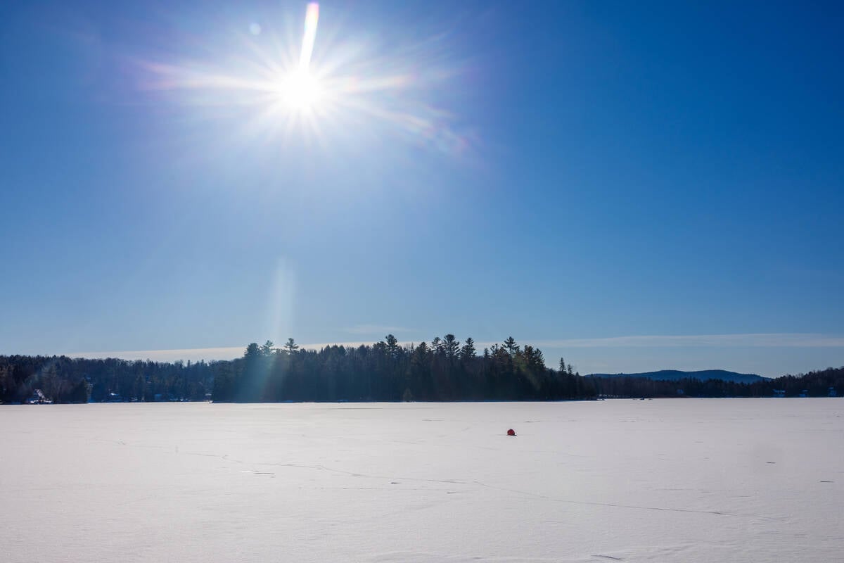 Beautiful sunlight over a vast snowy landscape with a distant forest, evoking tranquility. Pic: Sebastian Brock Loeven/iStock/Getty Images