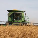 Mustard processor expands in southern Alberta
