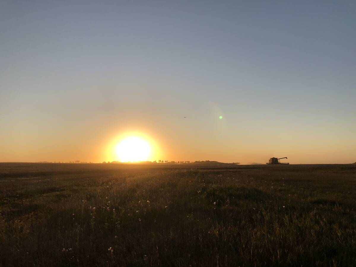 CBOT weekly outlook: Soy prices rise, yields may follow suit