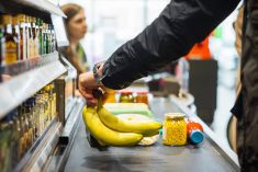 Canada&#8217;s Food Price Report expects the average family of four to see their food bill increased by $1,000, or four to six per cent, in 2026. Photo: Getty Images 
