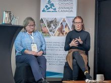 Allison Penner (right) and Heather McLeod-Kilmurray speak at the Humane Canada One Health One Welfare Conference in Ottawa. Photo: Jonah Grignon
