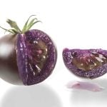 This August, U.S.-based Norfolk Healthy Produce received Health Canada&rsquo;s approval to bring The Purple Tomato to Canada. Photo: Screencap via norfolkhealthyproduce.com
