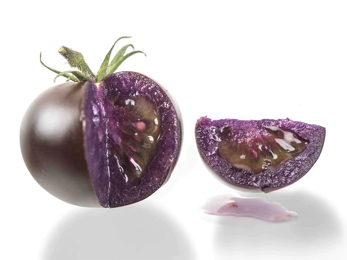 This August, U.S.-based Norfolk Healthy Produce received Health Canada’s approval to bring The Purple Tomato to Canada. Photo: Screencap via norfolkhealthyproduce.com

