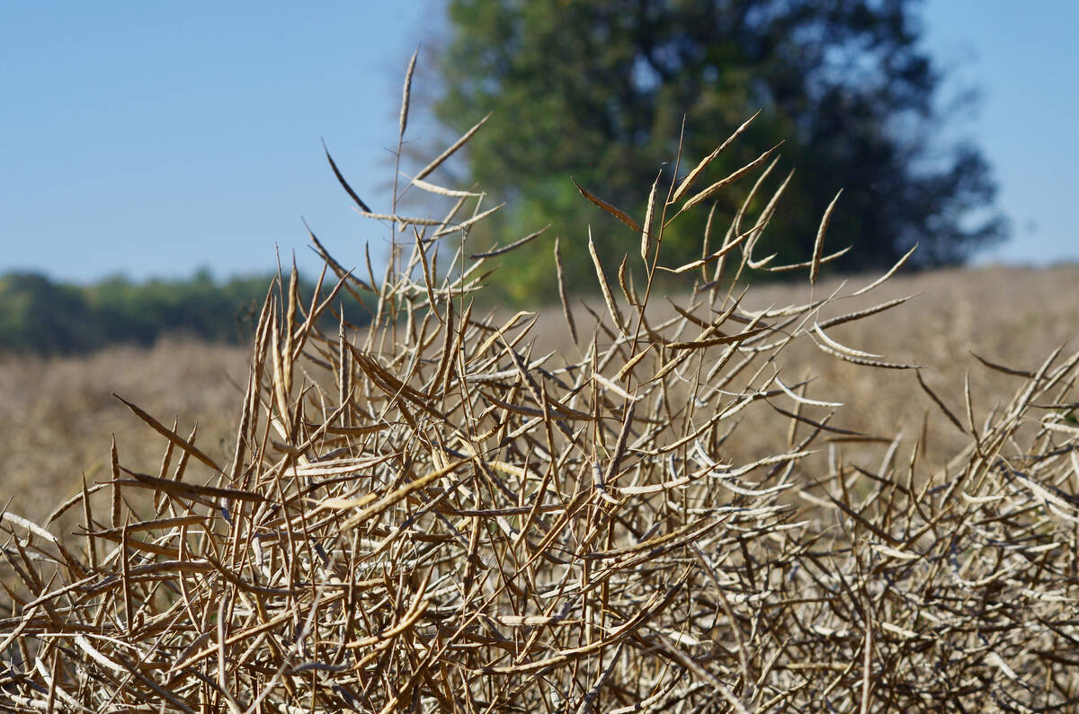 Cargill shuts Edmonton-area crop input outlet