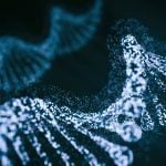 Canada has put its national standard for voluntary labelling of genetically modified foods under public review until Jan. 23. Photo: Photo: koto_feja/iStock/Getty Images
