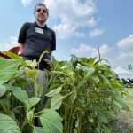 Glufosinate-resistant waterhemp appears in U.S. Midwest