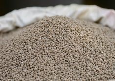 The U.S. fertilizer producer reported phosphate sales of about 1.3 million tonnes in the last quarter of 2025, below its previous forecast of 1.7 million to 1.9 million tonnes. Photo: Getty Images Plus
