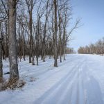 Photo: Geralyn Wichers
