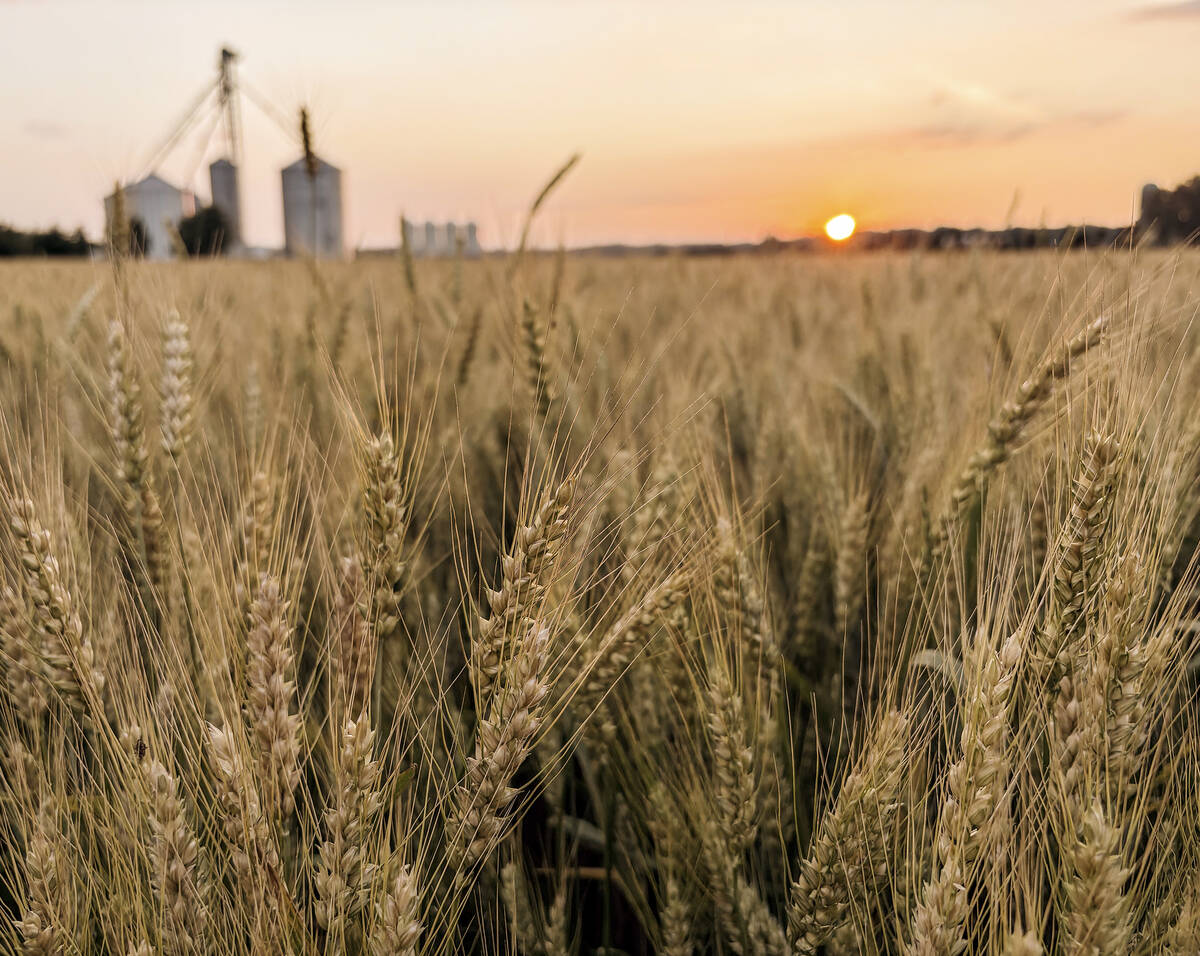 AAFC to cut over 600 positions