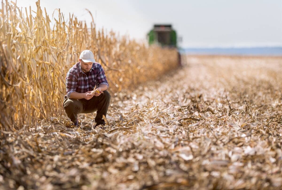 U.S. bankers reported a nearly 40 per cent jump in new farm operating loans in the fourth quarter of 2025 compared to a year earlier, according to a Federal Reserve survey. Photo: Getty Images Plus
