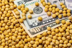 China resumed U.S. soybean purchases after the two countries&rsquo; leaders met in late October, with the White House saying China had also agreed to buy at least 25 million metric tons annually over the next three years, starting in 2026. Photo: Getty Images Plus
