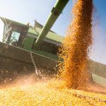 USDA forecast that producers will receive $30.5 billion in direct payment support in 2025 and $44.3 billion in 2026, excluding additional payouts from federal crop insurance indemnities. Photo: Getty Images Plus
