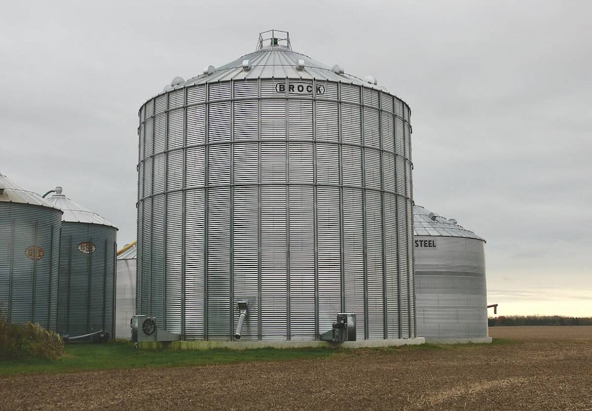 U.S. grains: Corn, soybeans rebound after USDA data-driven decline