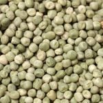 Pea, lentil outlooks have some positive signals – Penner