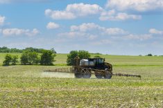 Bayer said last August that it could be forced to stop U.S. production of the widely-used farming weedkiller unless regulatory changes are made to stave off litigation. Photo: Lisa Beeby/Getty Images Plus
