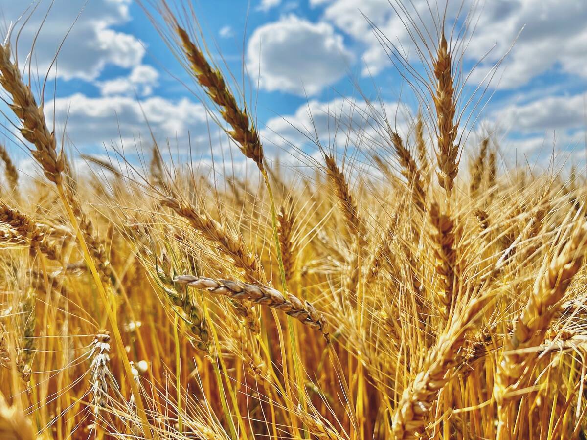 Photo: Alexis Stockford
