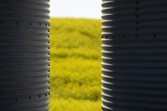 ICE Weekly: Canola benefitting from supportive factors