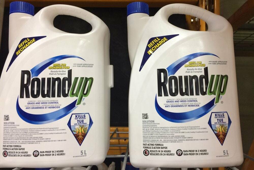 Plaintiffs say that Roundup’s active ingredient, glyphosate, causes cancer, and they developed non-Hodgkin’s lymphoma and other forms of the disease after using the weedkiller. Bayer has said decades of studies have shown Roundup and glyphosate are safe and do not cause cancer. Photo: File

