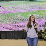 VIDEO: AgGronomyTV: Post-emergent rolling of soybeans and iron deficiency chlorosis