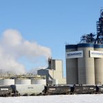 Canola, U.S. soybean crushes expanding