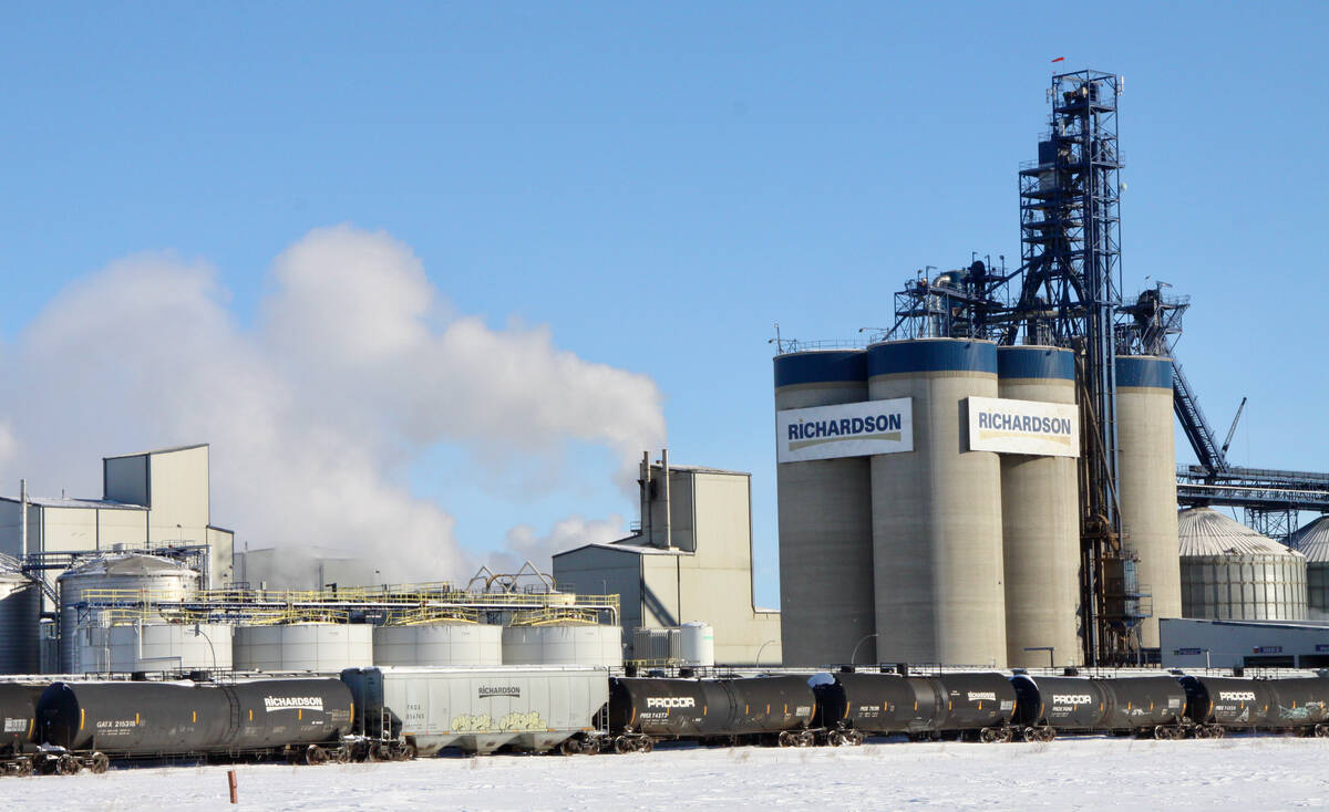 GRAINS: Corn, soybeans bounce a day after touching multiyear lows