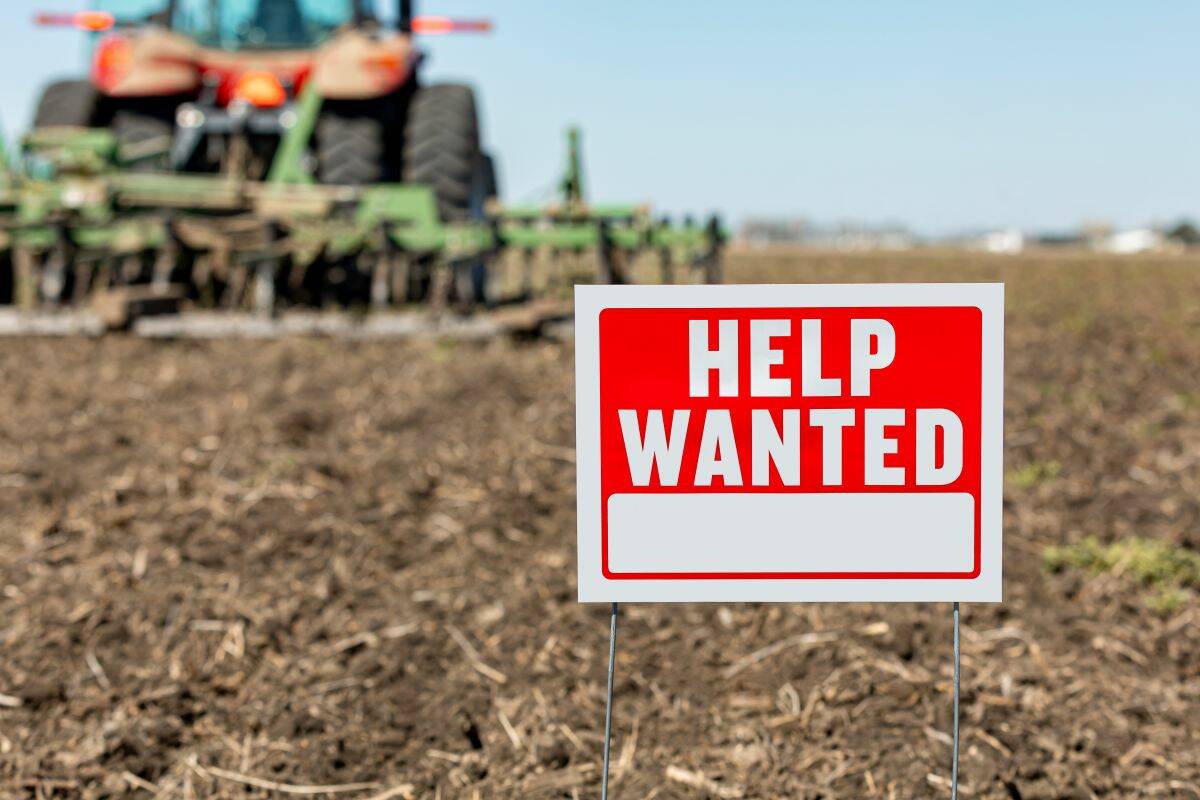 The agriculture sector has its own dedicated stream to hire temporary foreign workers &mdash; the Seasonal Agricultural Worker Program (SAWP), but may also hire workers through the low-wage stream. Photo: Getty Images Plus
