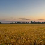 Photo: Jun Zhang/Getty Images Plus
