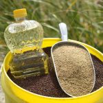 VIDEO: Closing Market Update: Canola rises, U.S. grains react to USDA reports | March 31, 2026