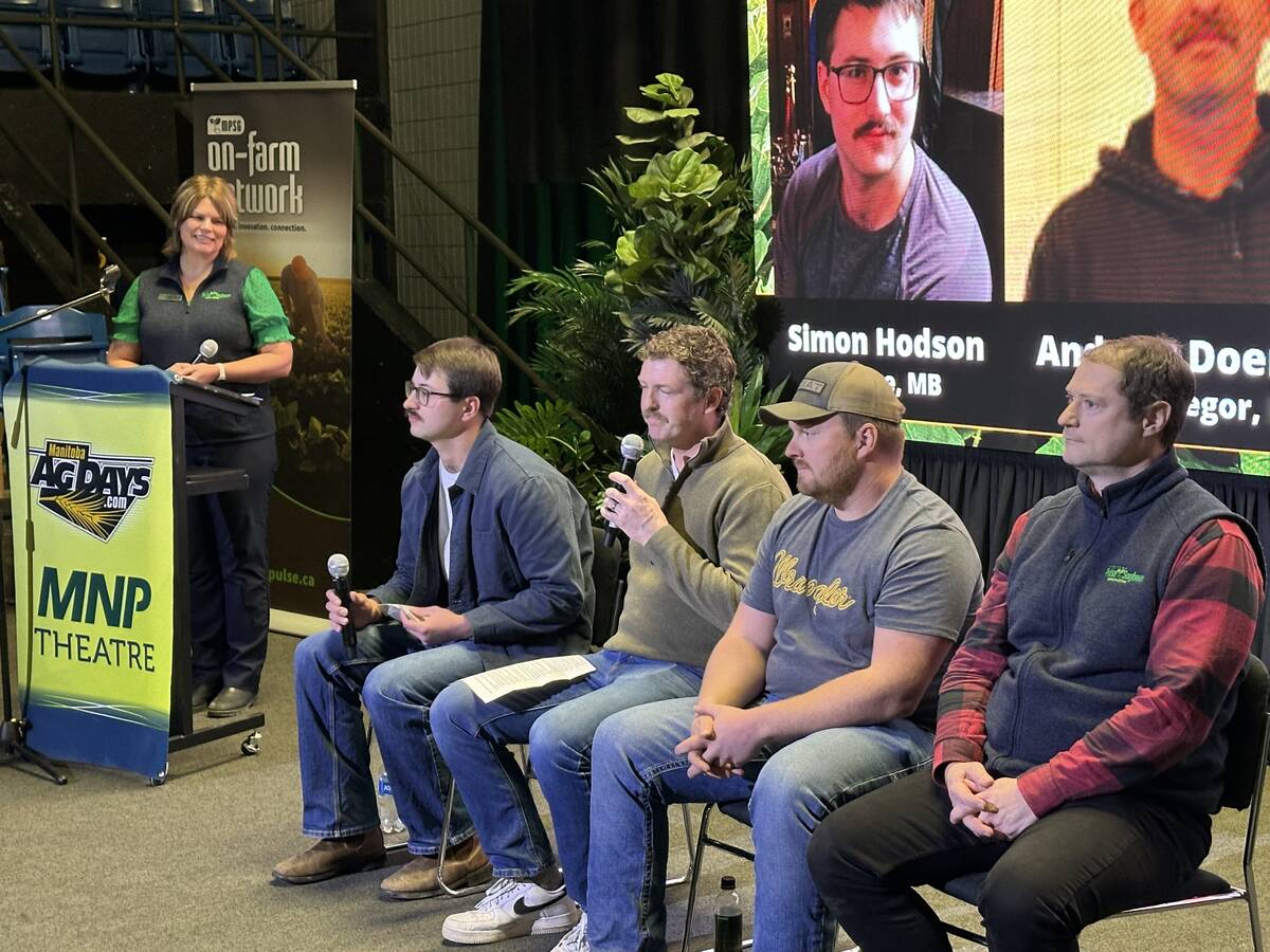 From left: Simon Hodson, Andrew Doerksen, Jayden Buchanan and Chris Forsythe speak during a Manitoba Pulse and Soybean Growers On-Farm Network panel at AgDays in Brandon. Photo: Don Norman